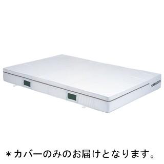 TOEI LIGHT - トーエイともし火 エバーマット 取りまかなうのみ防炎・抗菌エバーマットエステルキャンヴァス・ノン横すべり 2×3×0.4珊 G-1459A  貨物輸送価値づける(25) (TOL) (Q41CD) スポーツ-体育マット、シート-体育器具、用品