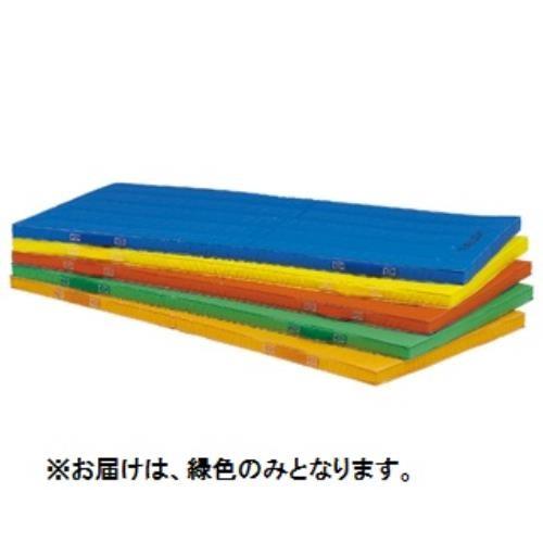 トーエイライト 緑 体操用マット カラーマット エコカラーコンビネーションマット5cm厚 1 240 5cm Tol 緑 T 13g 特殊送料 ランク 9 カラーマット Tol Qcb02 フィールドボス