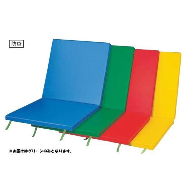 SANWA TAIKU - 三和体育 運動競技手道具 授業時間手道具 室内外兼用軽さ2ツ折色合い引っ敷き スベリ止付 90×180×4 緑であること S-9211  貨物輸送序列づける:(別途) (SWT) (Q41CD)