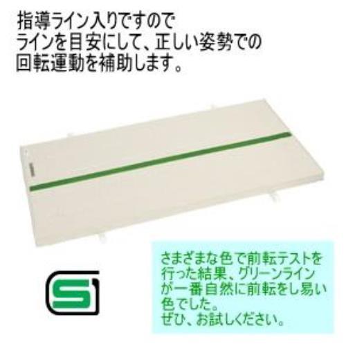 三和体育 スポーツ用具 学校用具 指導ライン入マット 9号 90×180×5 S-9615  送料ランク:(B) (SWT) (Q41CD)