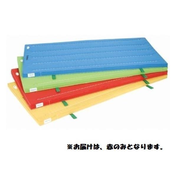 三和体育 スポーツ用具 学校用具 室内用抗菌カラ-マット （レッド） 120×300×5 S-9843 特殊送料(ランク：E) (SWT) (Q41CD)