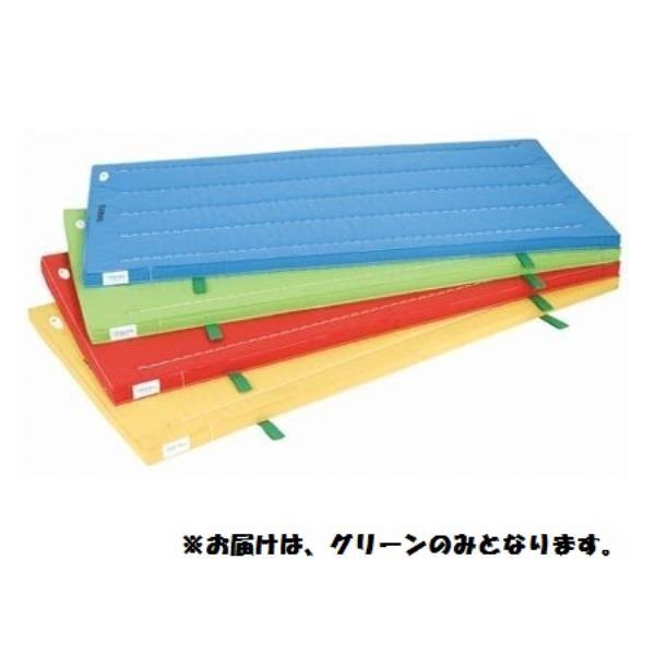 長さ6.0、鵠沼、鶴見手渡しokマチャドフィン付き要相談 - マリンスポーツ 