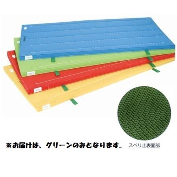 三和体育 スポーツ用具 学校用具 室内用抗菌カラ-マット ノンスリップタイプ グリ-ン 120×600×5 S-9874  送料ランク(F) (SWT) (Q41CD)