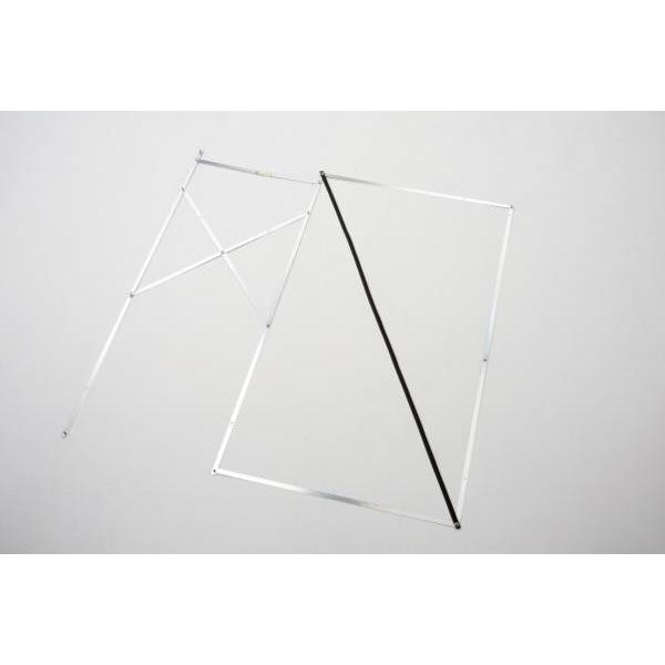 Mizuno オーダー トレーニングシューズ 新品未使用 28.5cm ALTRA アルトラ｜ESCALANTE RACER 2 M #BLACK [AL0A85NG0001