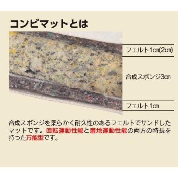 三和体育 SANWATAIKU マット コンビマット ノンスリップタイプ 6号 120×600×6 S-7852  送料ランク(F) (SWT) (Q41CD)の画像