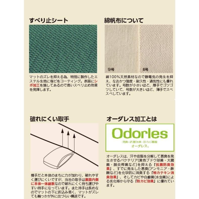 三和体育 SANWATAIKU マット 抗菌コンビマット ノンスリップタイプ 9号 120×600×5 S-7869  送料ランク(F) (SWT) (Q41CD)の画像