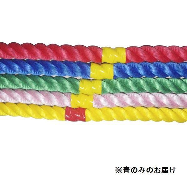 SANWA TAIKU - 鍔競り合い 索条 つなひき S-8643 派手索条3m 青  Q41CD 貨物輸送価値づける(A) (SWT) (Q41CD) スポーツ-設備、備品