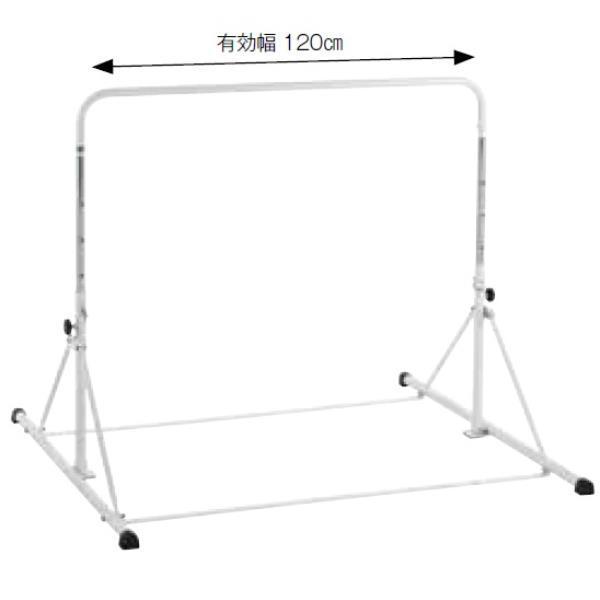 鉄棒 屋内 屋外 S-0880 簡易式低鉄棒 RM型屋内外兼用  Q41CD 送料ランク(C) (SWT) (Q41CD)