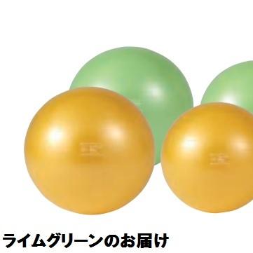 通販 激安 フィットネスボール 体幹トレーニング ストレッチボール D 5423lmg ギムニクカラーボールplus 75lg Dan