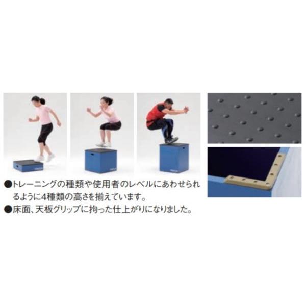 DANNO（ダンノ） プライオメトリックボックス 体操ボックス ジャンプ