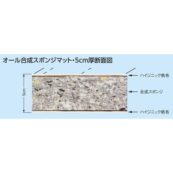 マット マット運動 跳び箱 F-309 オール合成スポンジマット ハイジニック 5cm厚仕上げ 150×600cm 送料【お見積】 (AKB)の画像