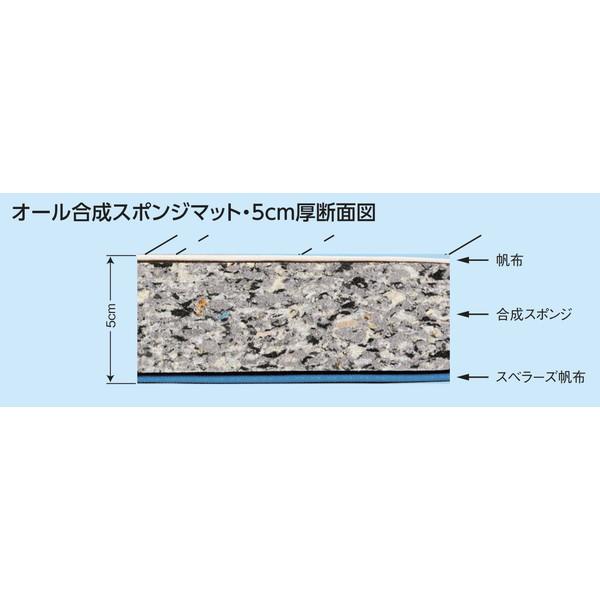マット マット運動 跳び箱 F-314 オール合成スポンジマット 5cm厚仕上げ スベリ止め付き 150×600cm 送料【お見積】 (AKB)の画像