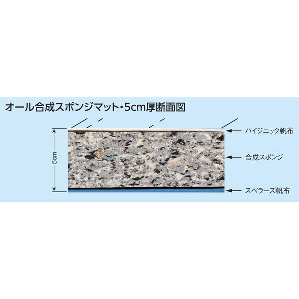 マット マット運動 跳び箱 F-319 オール合成スポンジマット ハイジニック 5cm厚仕上げ スベリ止め付き 150×600cm 送料【お見積】 (AKB)の画像