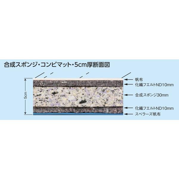 マット マット運動 跳び箱 F-333 合成スポンジ・コンビマット 5cm厚仕上げ スベリ止め付き 120×240cm 送料【お見積】 (AKB)