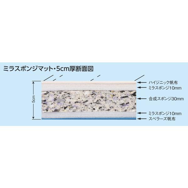 マット マット運動 跳び箱 F-360 ミラスポンジマット ハイジニック 5cm厚仕上げ スベリ止め付き 120×600cm 送料【お見積】 (AKB)の画像