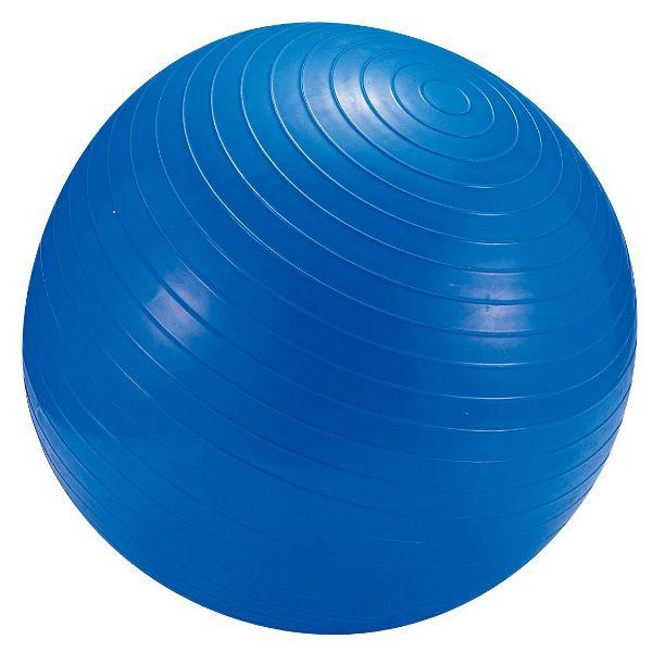フィットネスボール 55cm(ポンプ付)(ブルー) (AP116804/MH-6947) (Q41CD)｜fieldboss
