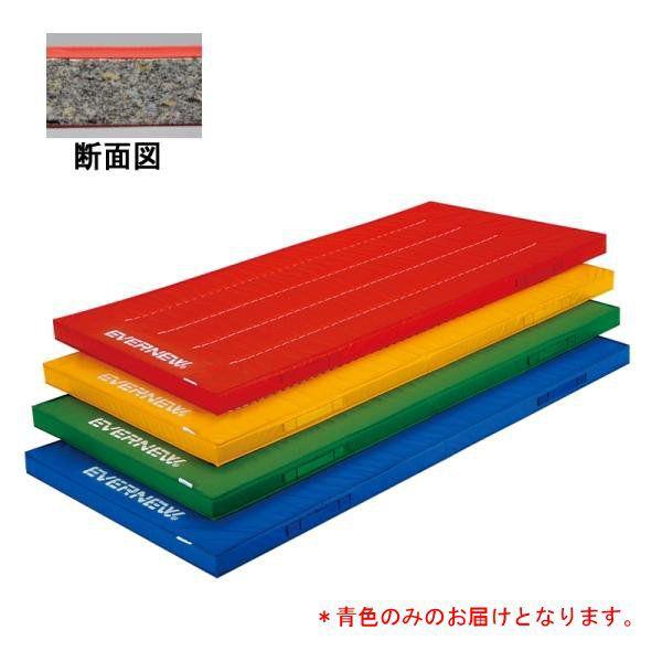 マット 体操マット エバニュー 屋内外兼用体操マット１２０×２４０×５/青 EKM415-青700 送料ランク(ア) (ENW) (Q41CD)