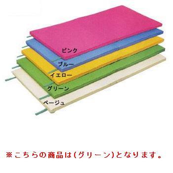 ライトマット D-4640G  送料ランク(お見積もり) (DAN) (Q41CD)