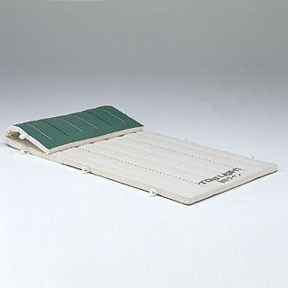 TOEI LIGHT - 法人押さえる 6珊抗菌ノンスリップコンビネーションマット6号キャンヴァス120×300×6珊 T-1295  貨物輸送価値づける(10) (TOL) (Q41CD) 体育マット、シート-体育器具、用品