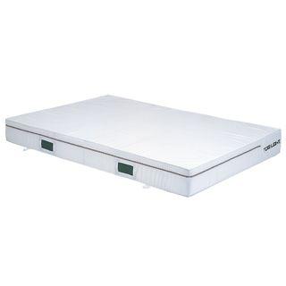 法人限定 トーエイライト エバーマットエステル帆布200×300×30cm G-2012  送料ランク:(23) (TOL) (Q41CD)