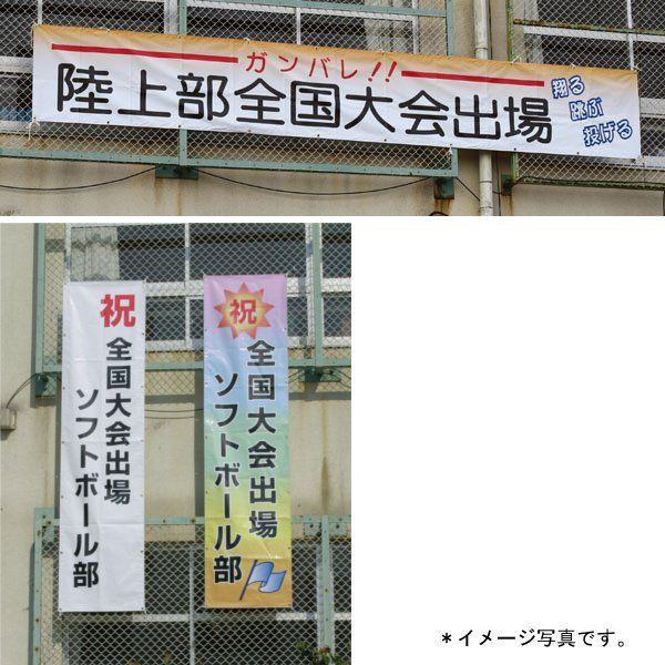 垂れ幕 DANNO（淡野）垂れ幕 垂れ幕（カラー印刷付） 90×360 D-4975 特殊送料(ランク：E-1) (DAN) (Q41CD)