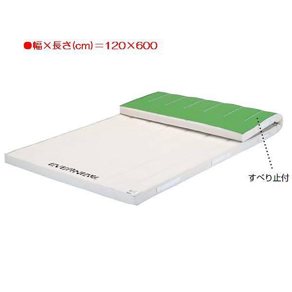 スポーツ 体操 保護 5cm厚抗菌合成スポンジマットすべり止付（枚） EKM155 特殊送料(ランク：イ) (ENW) (Q41CD)