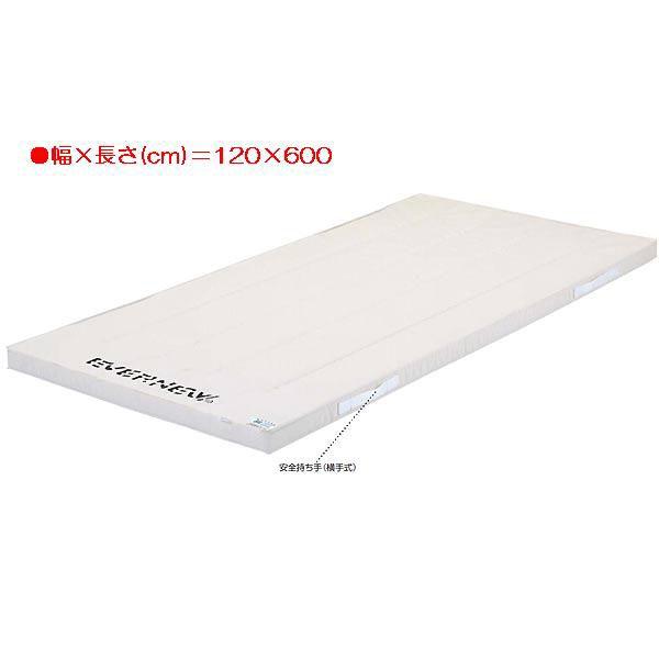 スポーツ 体操 保護 6cm厚合成スポンジマット枚 EKM265  送料ランク:(イ) (ENW) (Q41CD)