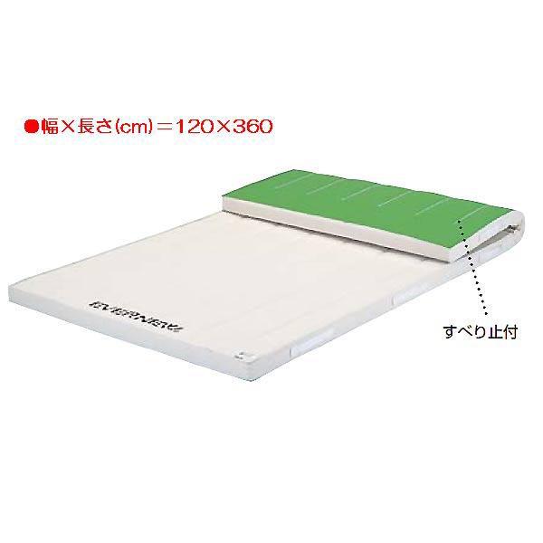 EVERNEW - 運動競技 柔軟体操 防御すること 5糎厚組み合わせる海綿体引っ敷きすべり止付枚 EKM284  貨物輸送序列づける:(ア) (ENW) (Q41CD)