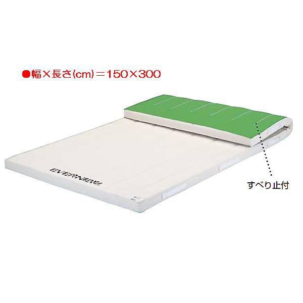 スポーツ 体操 保護 5cm厚合成スポンジマットすべり止付枚 EKM286  送料ランク:(ア) (ENW) (Q41CD)