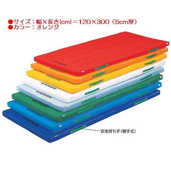 スポーツ 体操 保護 防ダニカラーペットマットすべり止付枚オレンジ EKM083  送料ランク:(ア) (ENW) (Q41CD)