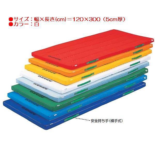 スポーツ 体操 保護 カラーペットマット（枚）(白） EKM043 特殊送料(ランク：ア) (ENW) (Q41CD)