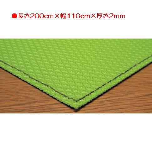 体育館用品 フロアシート 体操 保護 滑り止シート2 EKF071  送料ランク:(C) (ENW) (Q41CD)