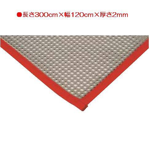 体育館用品 フロアシート 体操 保護 すべり止めネット120×300 EKF077  送料ランク:(C) (ENW) (Q41CD)