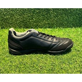 アピカーレ5 SL WIDE TFの画像