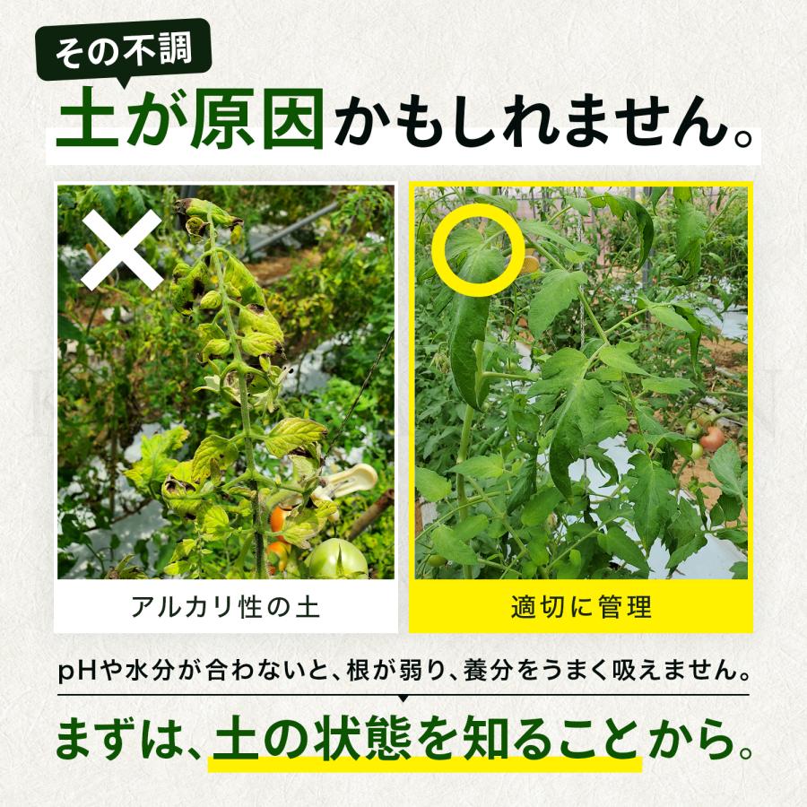 ランキング1位】【国内ブランド】5 in 1 土壌酸度計（pH/土壌水分/地温