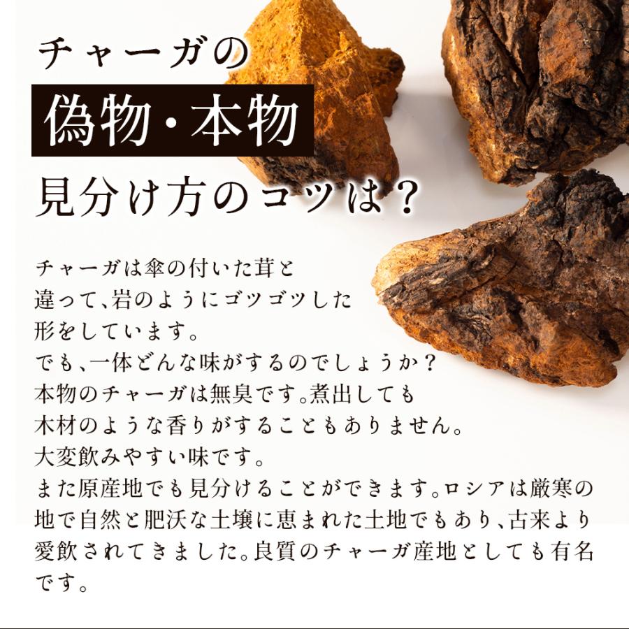 チャーガ健康園・樺宝寿ブロック2kg ロシア産カバノアナタケ 厳寒で肥沃な土壌から採取した1級品チャーガ茶 4ヶ月分から8ヶ月分の画像