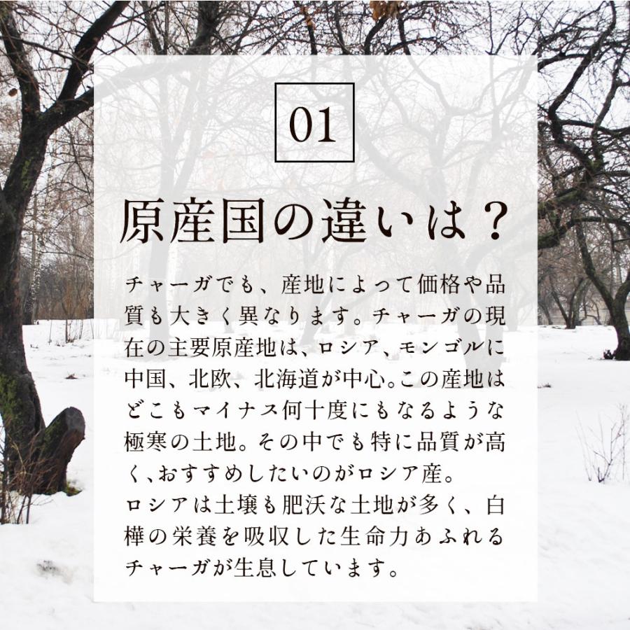 チャーガ健康園・樺宝寿ブロック2kg ロシア産カバノアナタケ 厳寒で肥沃な土壌から採取した1級品チャーガ茶 4ヶ月分から8ヶ月分の画像