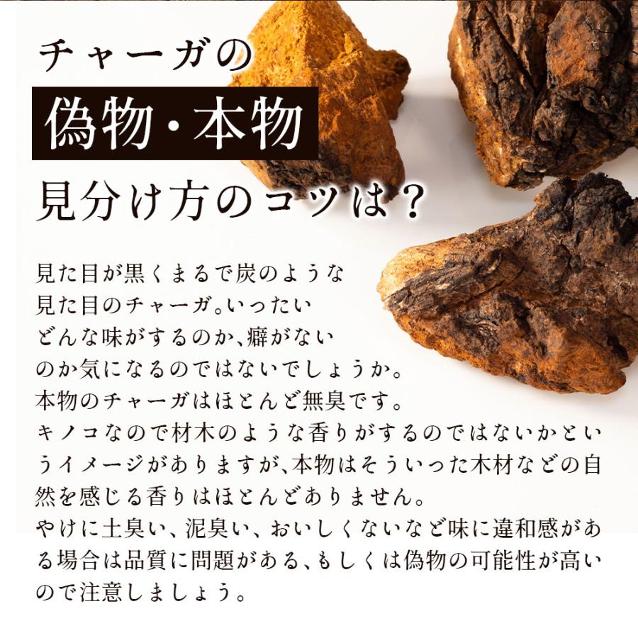 おいしい健康習慣 チャーガ茶 （カバノアナタケ） 無添加 ロシア産