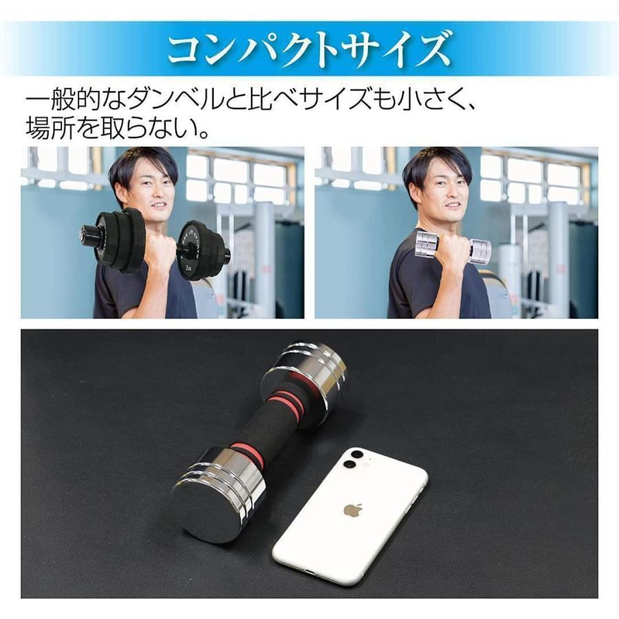 鏡面ダンベル 10kg 2個セット 可変式 スチールダンベル 無臭素材家庭用