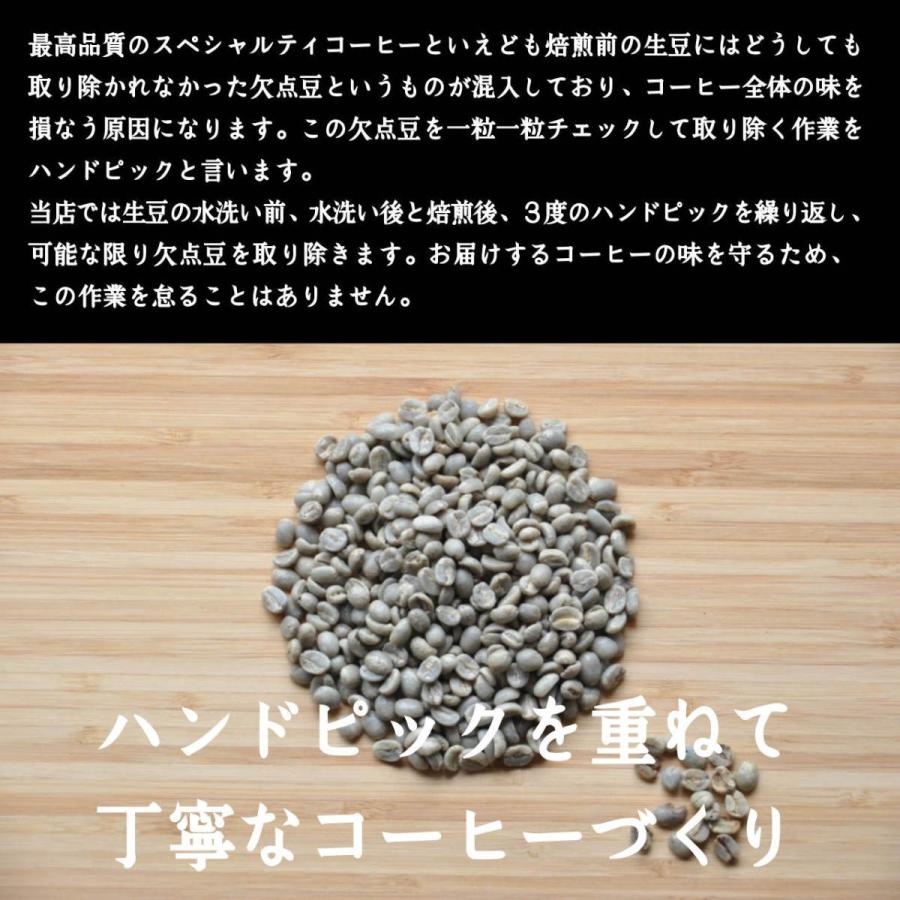 ドリップバッグ 3銘柄 合計12コセット お試し スペシャルティ