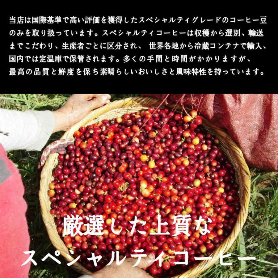 【ぺぺ】 コーヒー豆 えらべる 2銘柄 計400g 送料無料 飲み比べ スペシャルティ