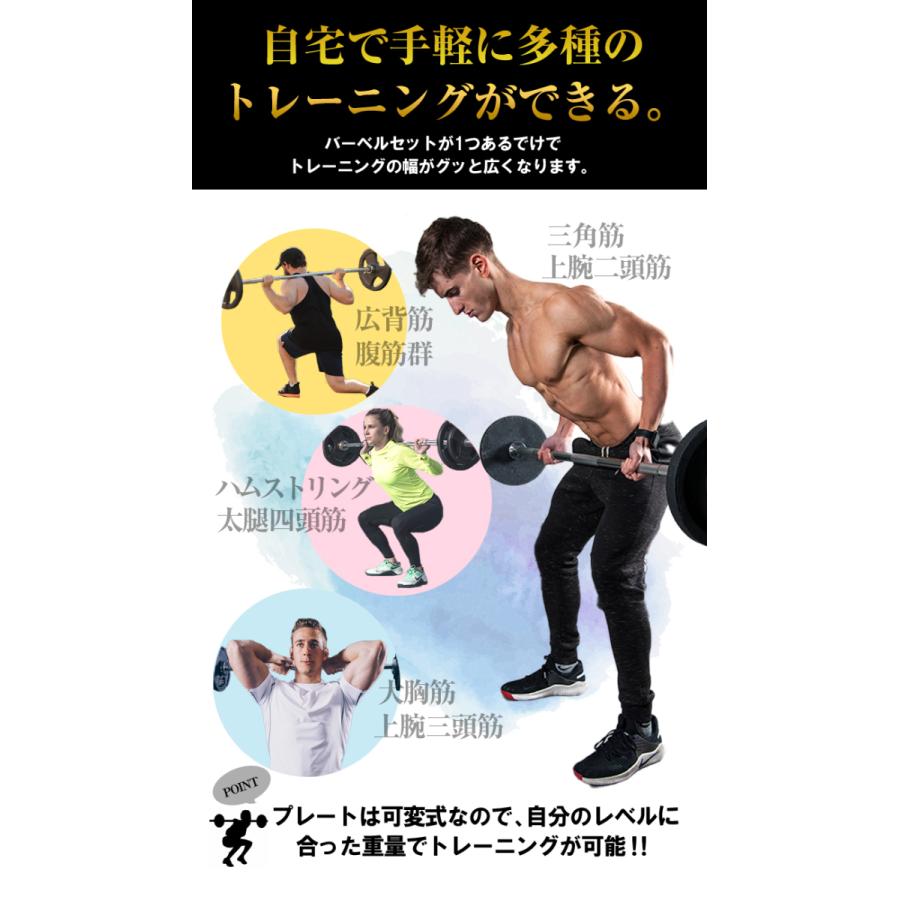 ファイティングロード バーベル セット 高品質ラバータイプ 30kg
