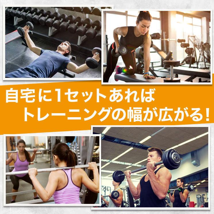 ファイティングロード ダンベル ラバー バーベル 20kg ベンチ ファイティングロード ダンベル ラバー バーベル 20kg ベンチ