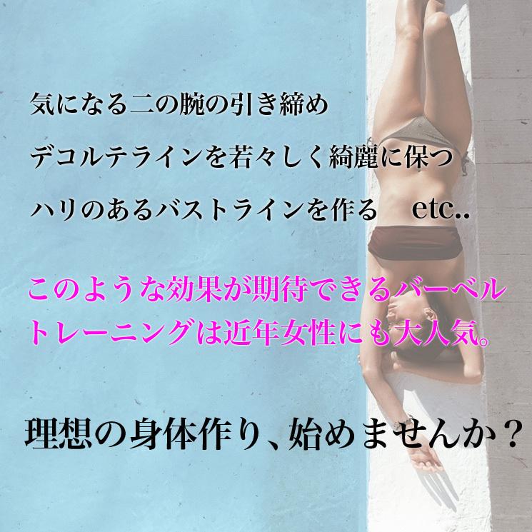 ファイティングロード バーベル 高品質マットタイププレート