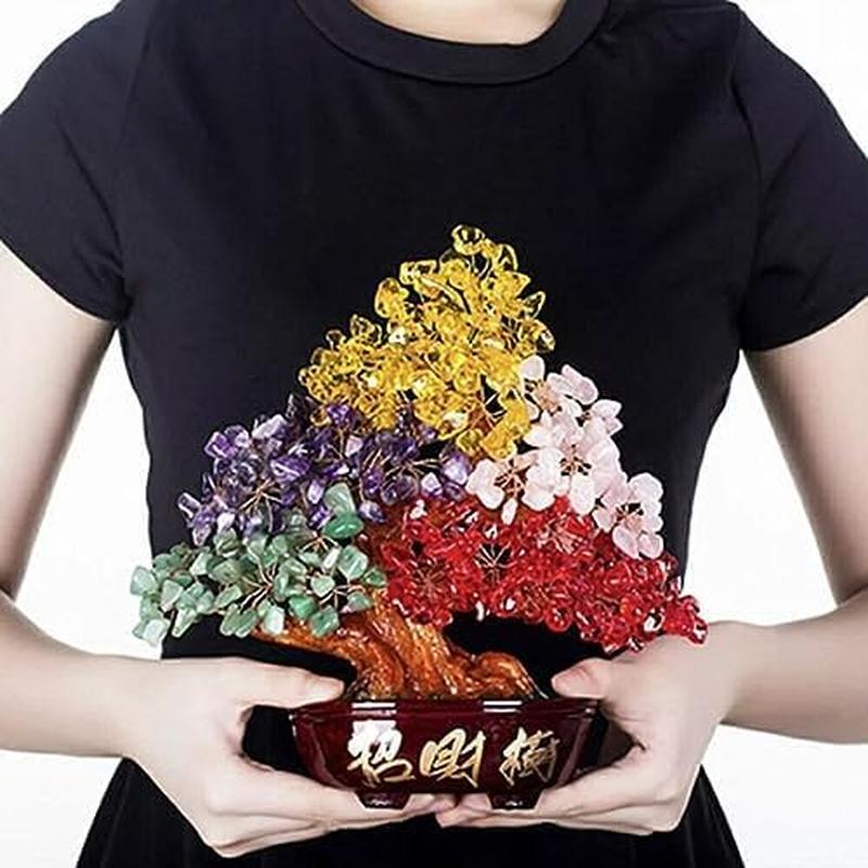 風水 カラフル 5色 招財樹 金のなる木 風水アイテム 金運アップ 財