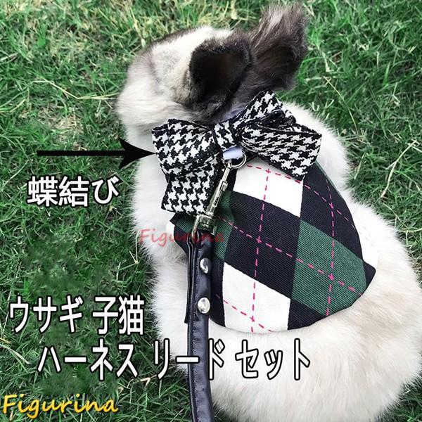 うさぎ服 可愛い 学院風 ウサギ 子猫 ハーネス リード セット