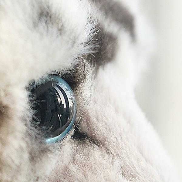 雪豹 動物スラップブレスレット リストバンド ユキヒョウ ぬいぐるみ 手首バングル かわいい 可愛い おもちゃ 萌え萌え ふわふわ 癒し系 ユキヒョウ ぬいぐるみ