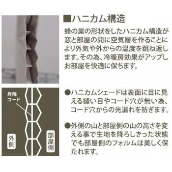 プレミアム ハニカムシェード 彩 一級遮光 90×180cm 遮光ベージュ