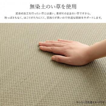 いやし い草 敷きパッド 130×200cm ダブル ブルー 1122920041201_1