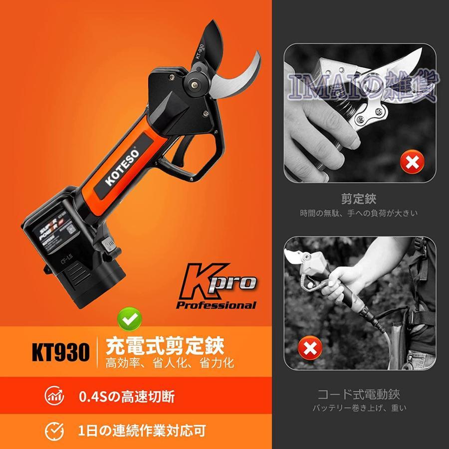 電動剪定バサミ テフロン非粘着性コーディング刃 16.8V コードレス 充電式剪定ばさみ 軽さ・スピード・切れ味の頂点機種 電動枝切り鋏 持ち運び便利 プロ剪定鋏 